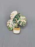 Monstera Albo Pin