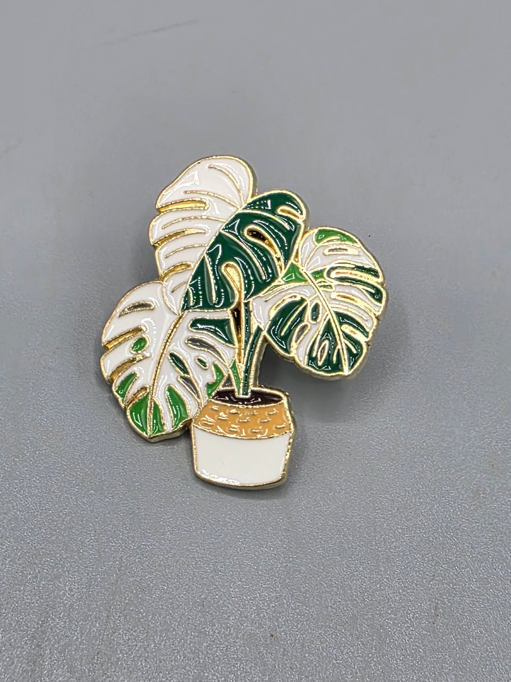 Monstera Albo Pin
