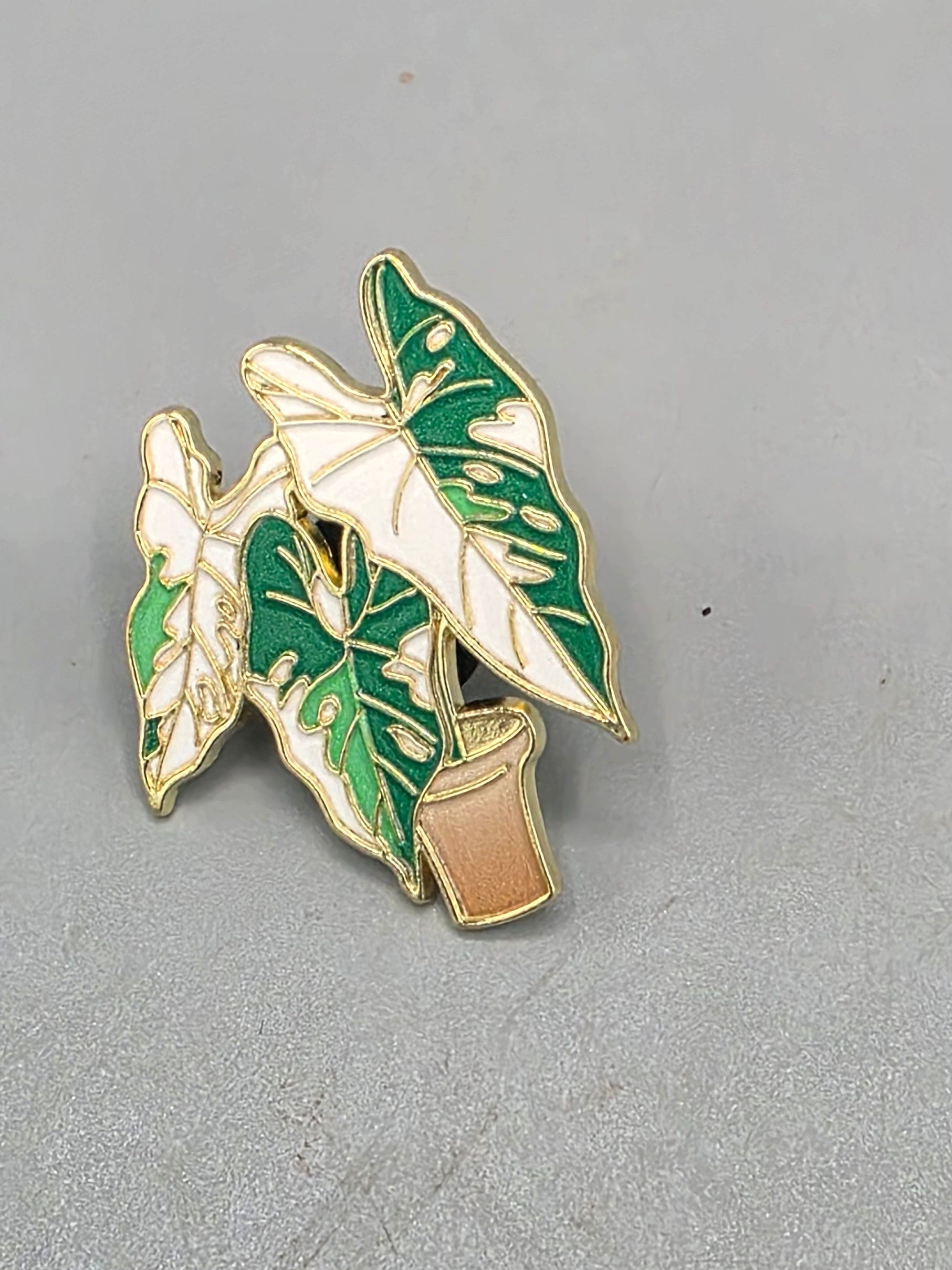 Alocasia Pin
