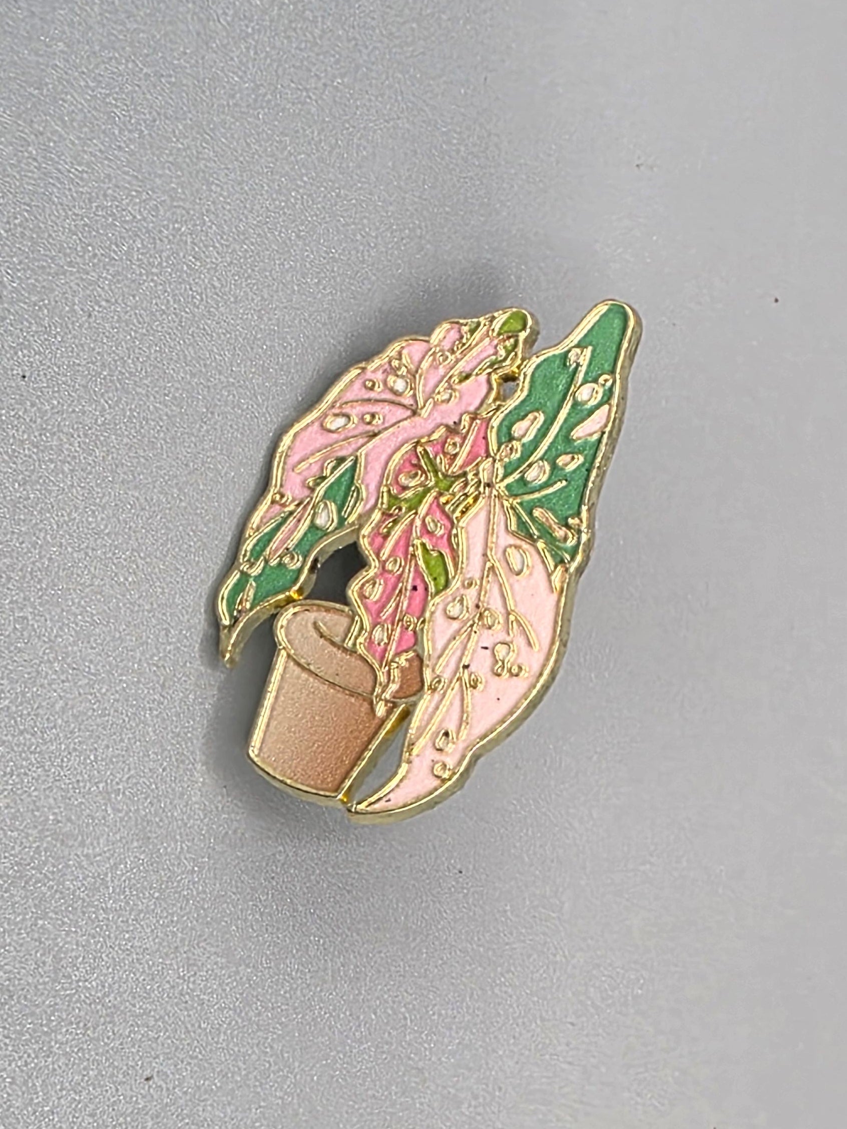Variegated Begonia Pin